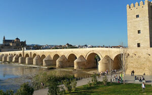 A bridge with people walking on it and trees in the background